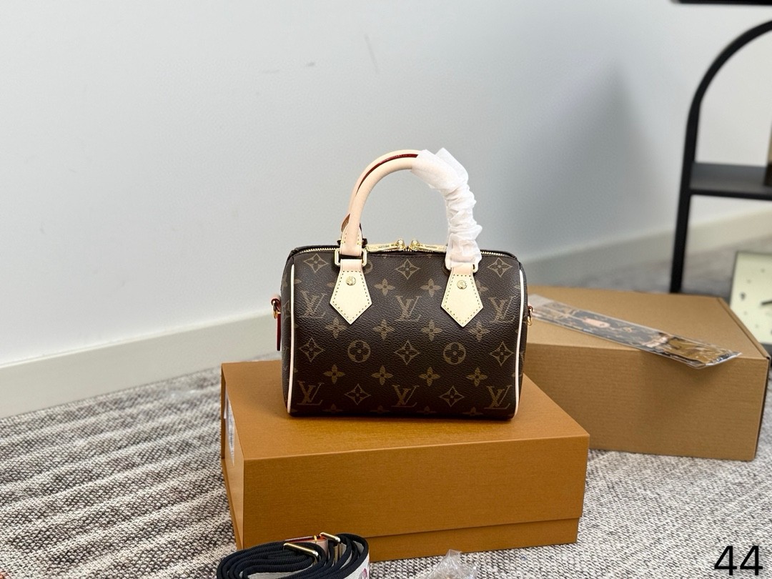LV SPeedy 20 Pillow Bag